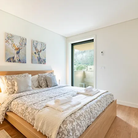 Braamcamp Urban Apartamento Oporto