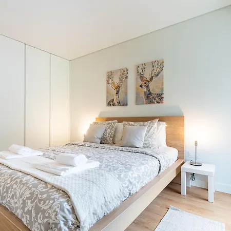 Braamcamp Urban Apartamento